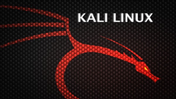 How to Install Kali Linux using Virtual Player