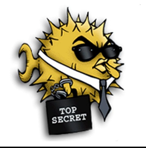 Download OpenSSH Encryption Tool for Free